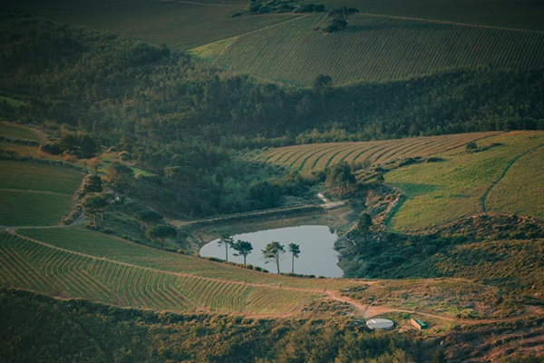 Stellenbosch & Franschhoek Winelands