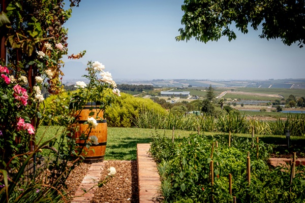 Stellenbosch & Franschhoek Winelands