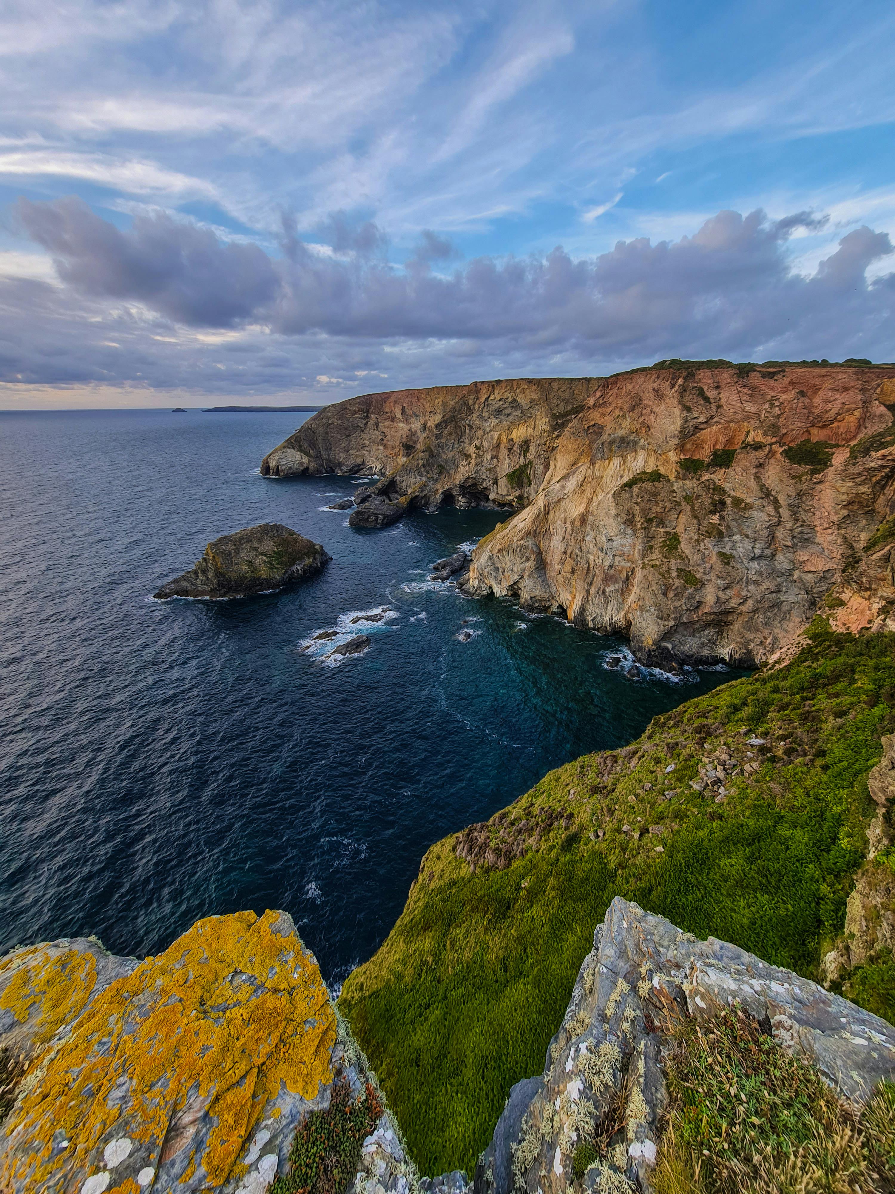 Cape Peninsula & Penguin Colony