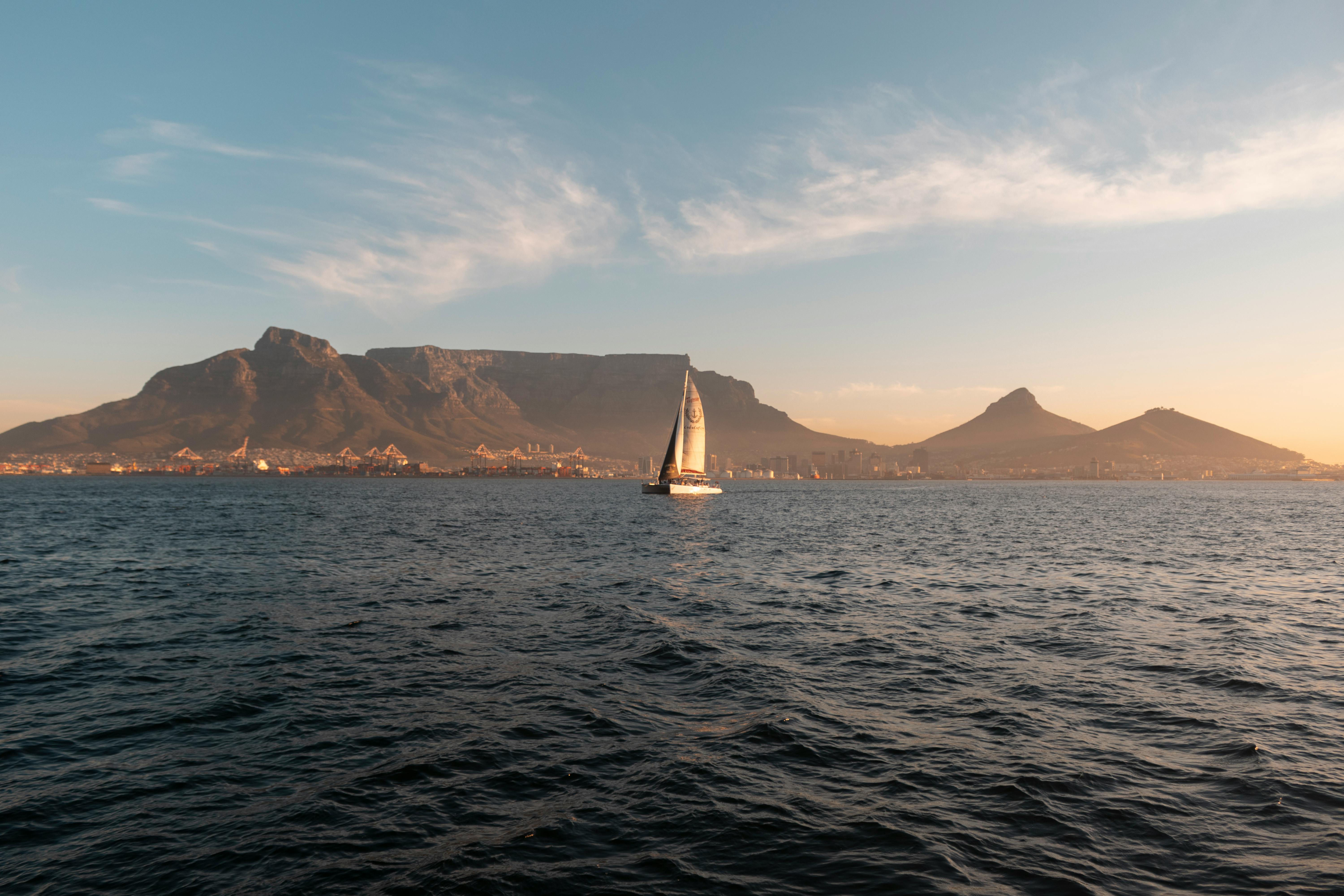 Cape Peninsula & Penguin Colony