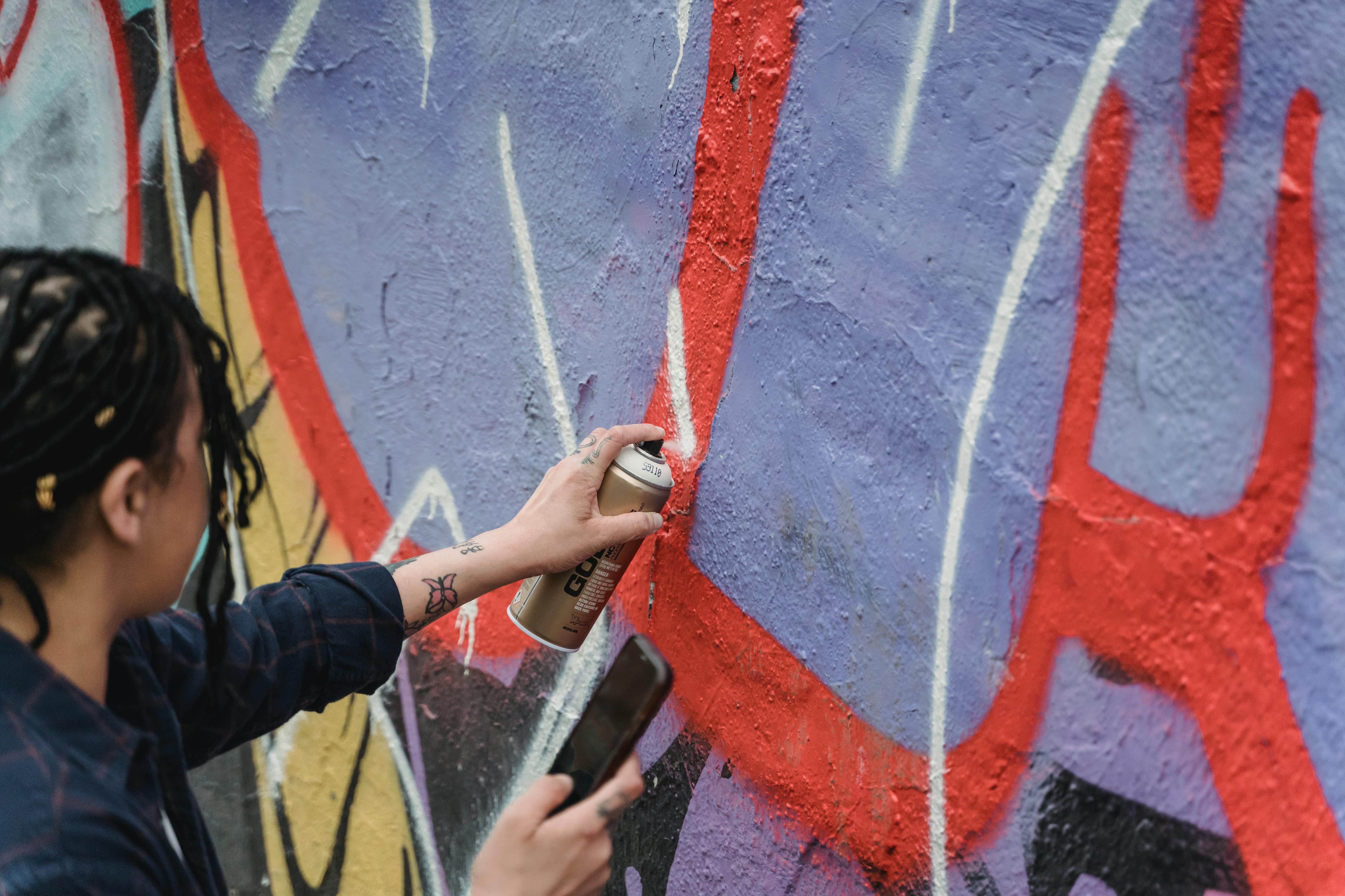 Salt River Street Art Half Day Tour