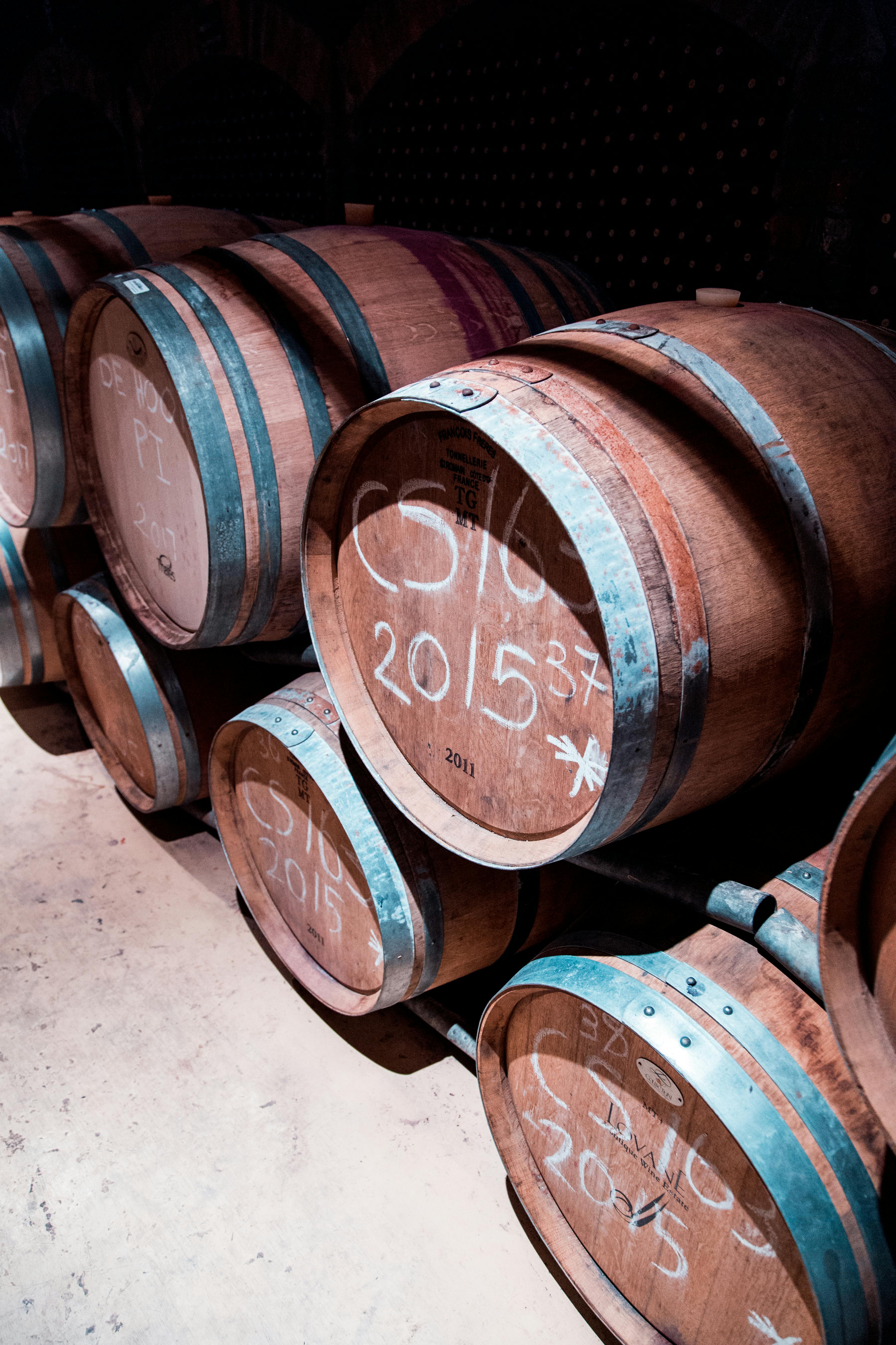 Cape Winelands Half Day Tour 