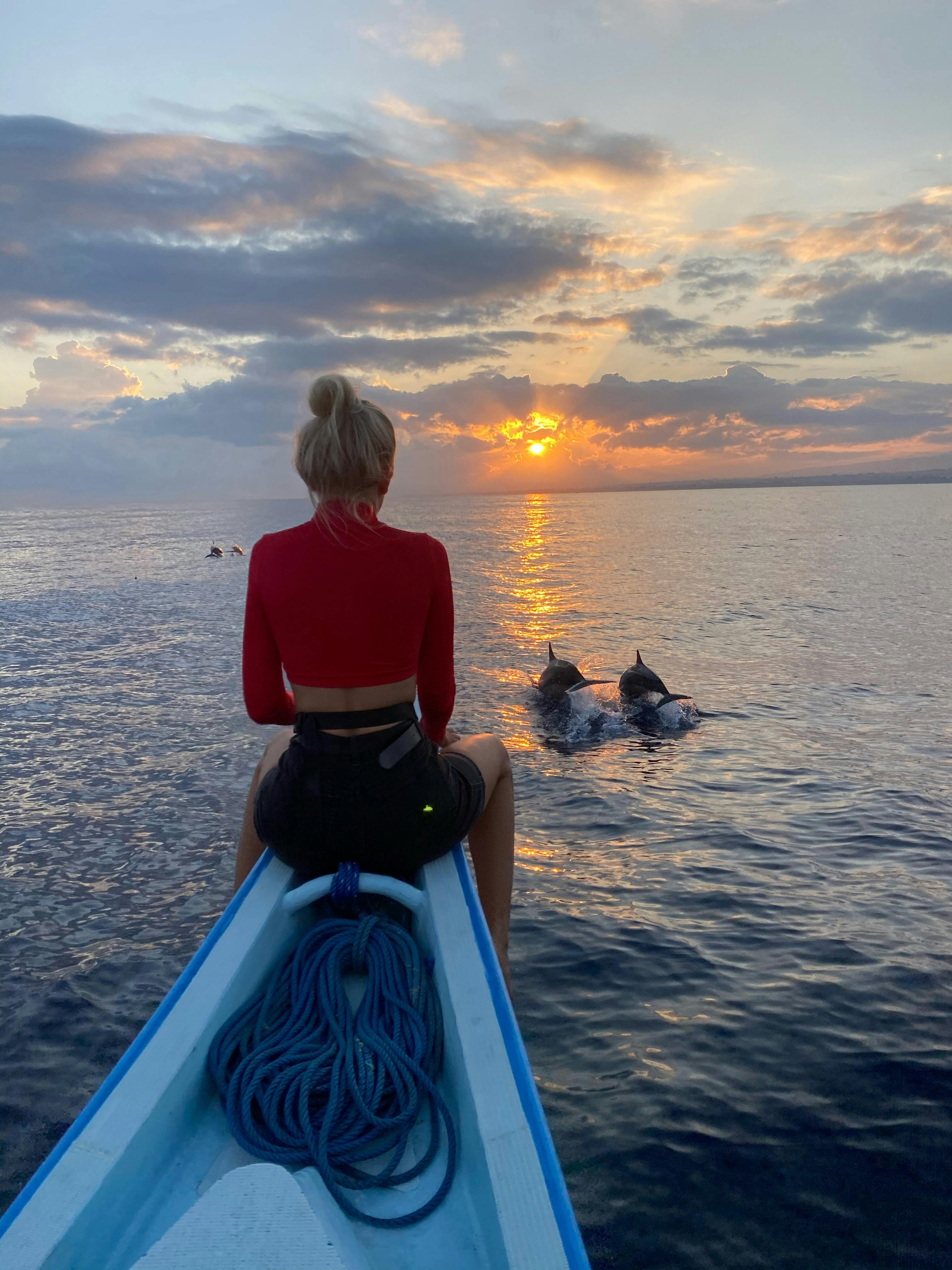 Whale and Dolphin Watching Boat Trip