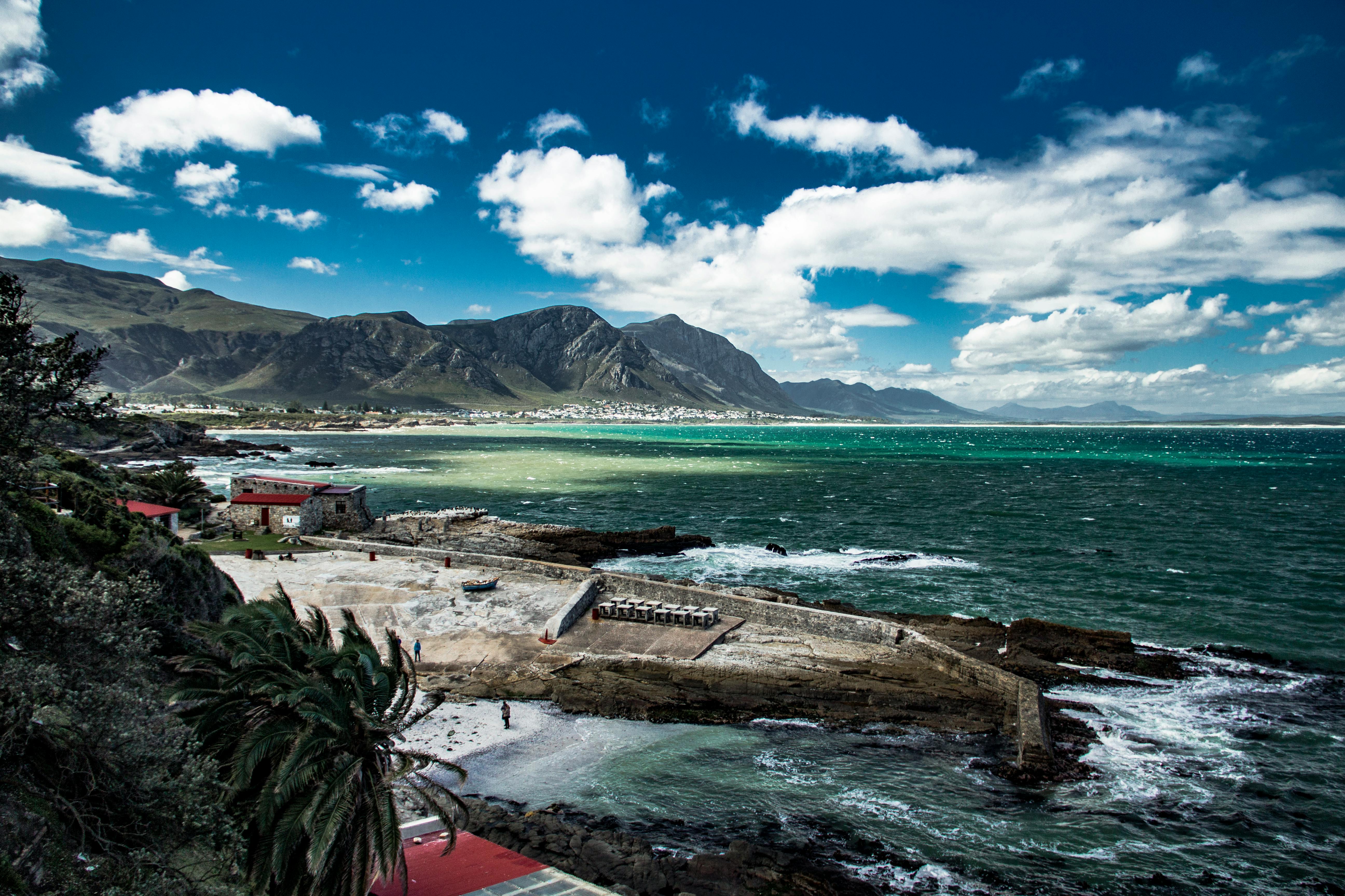 Whale and Dolphin Watching Boat Trip